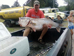 81 Pound Striped Bass