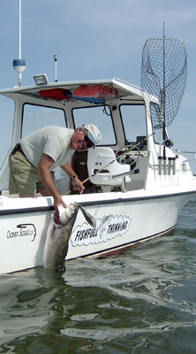 Cuddy Cabin for Striped Bass Fishing