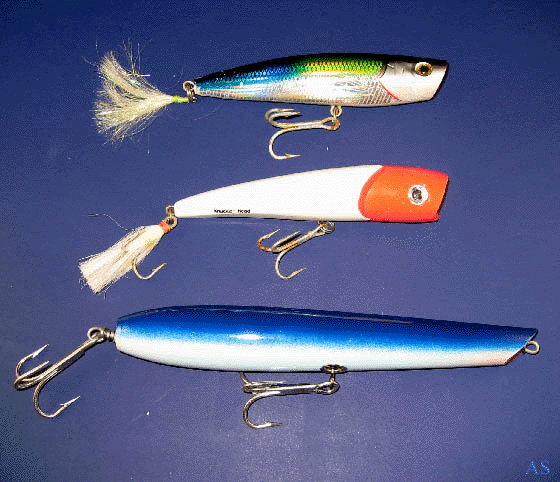 Popper Lures for Striped Bass Fishing