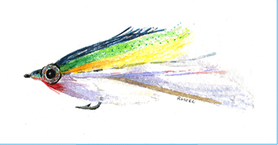 Fly Watercolor