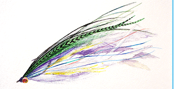 Fly Watercolor
