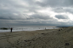 Sandy Hook Surf Fishing