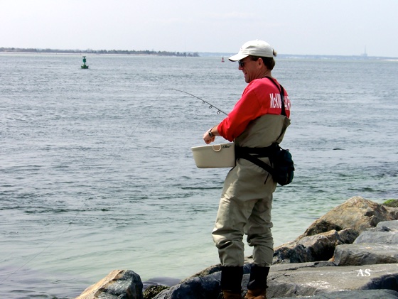 Fly Fishing for 
 Striped Bass