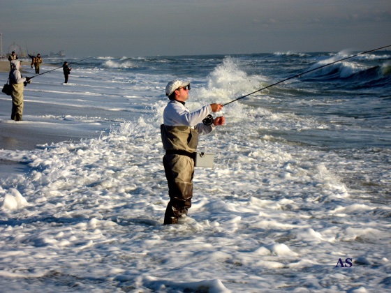 Fly Fishing for 
 Striped Bass