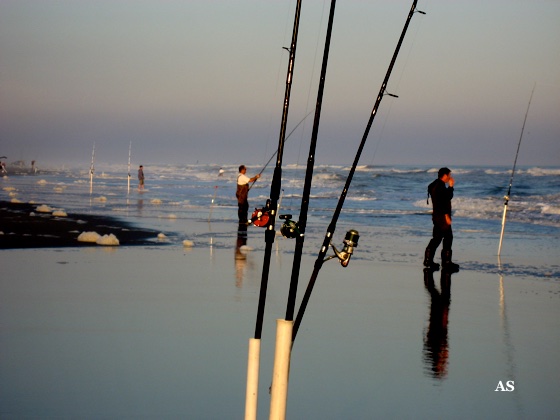 Surf Fishing for 
 Striped Bass