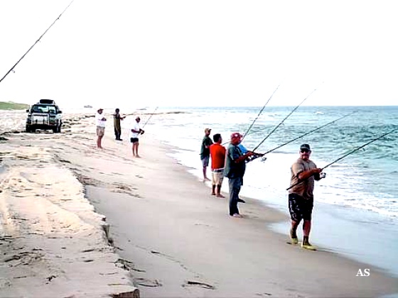 Surf Fishing for 
 Striped Bass 