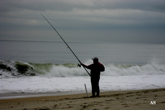 Surf Fishing for 
 Striped Bass 