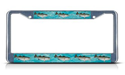 Striped Bass License Plate Holder 