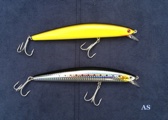 Sp Minnow