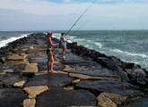  Jetty in Summer at Brigantine