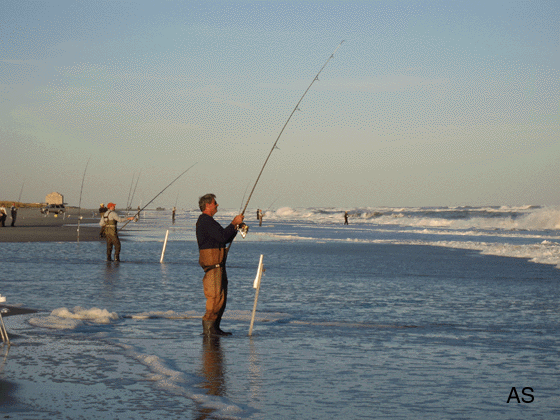 Striped Bass Surf Fishing Tackle