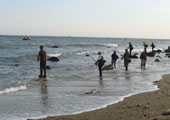 Fishing for Striped Bass at Montauk