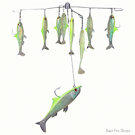 Umbrella Rigs 